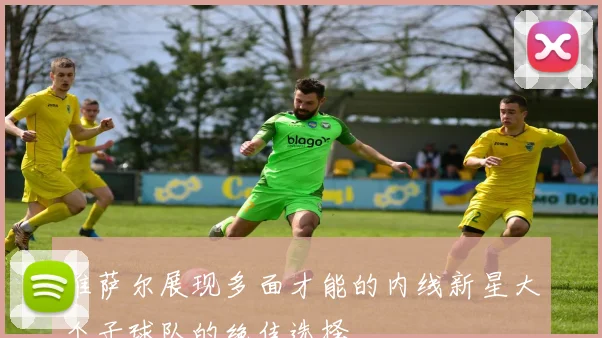维萨尔展现多面才能的内线新星大个子球队的绝佳选择